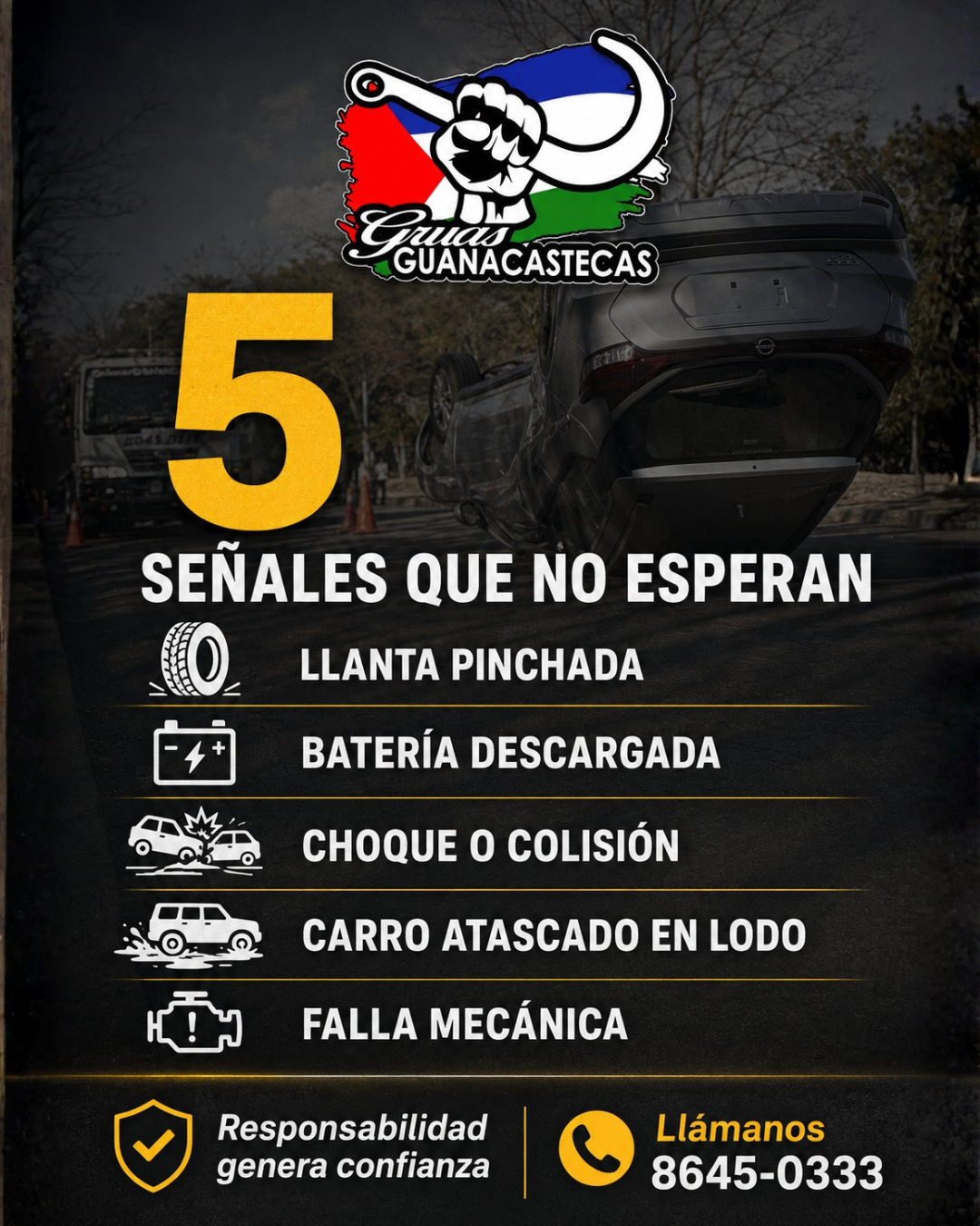Grúas Guanacastecas — Diseño 1